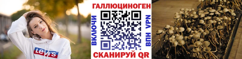 Купить где  Алексеевка  Псилоцибиновые грибы мицелий 